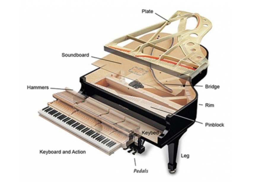 cấu tạo của đàn Piano