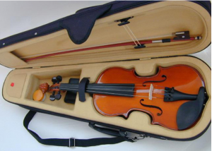 đàn violin giá rẻ cho người mới học