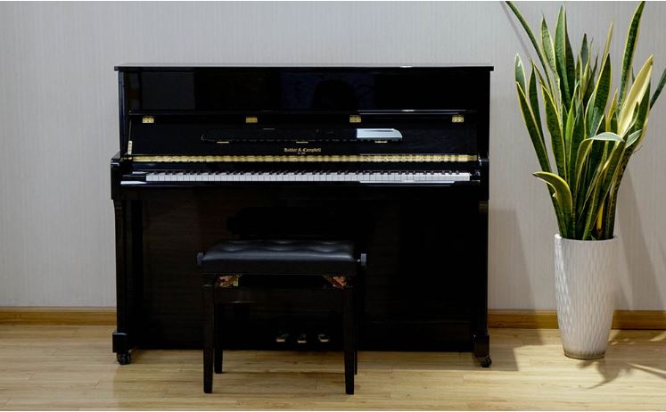 Đàn Piano cơ giá rẻ nhất