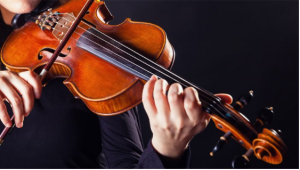 tư vấn mua đàn violin cho người mới học
