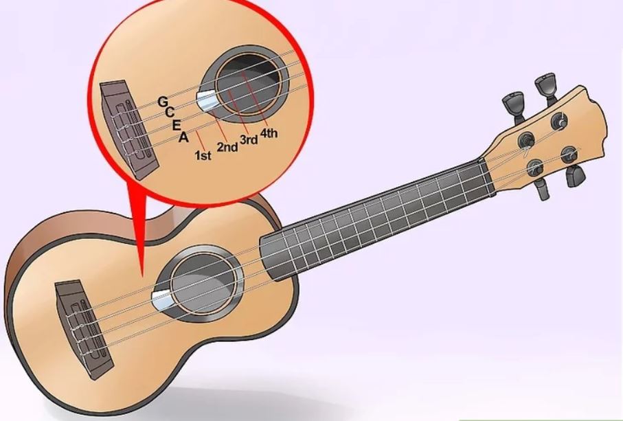 ukulele chính thức