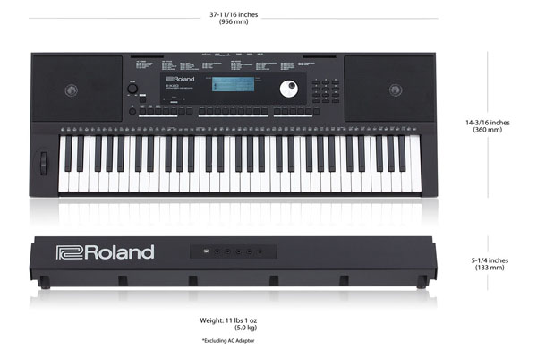 Roland E-X20