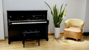 đàn piano cơ giá rẻ